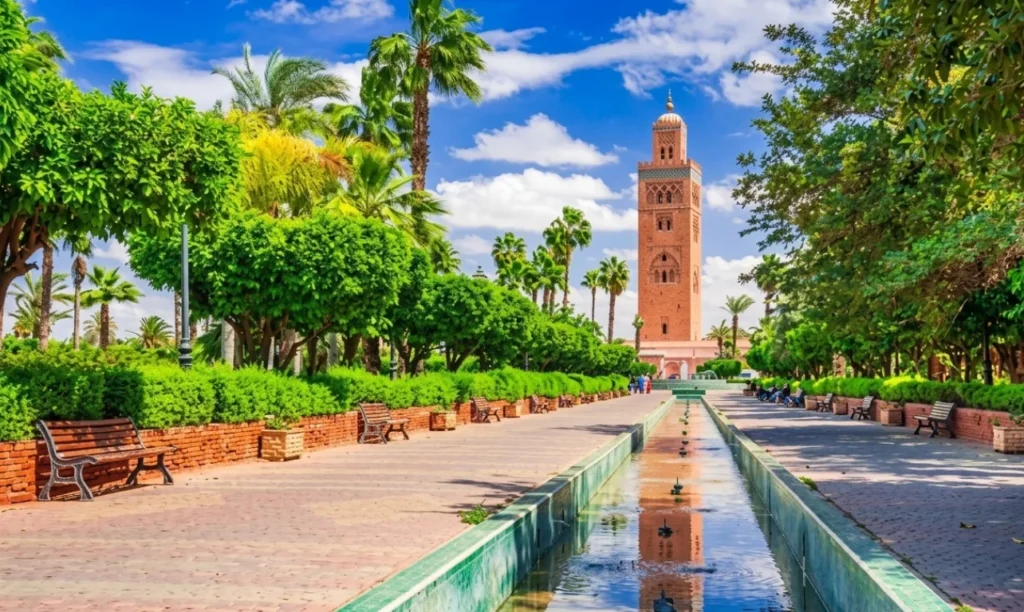 Lush Koutoubia gardens with red flowers and tall palm trees in the summer.