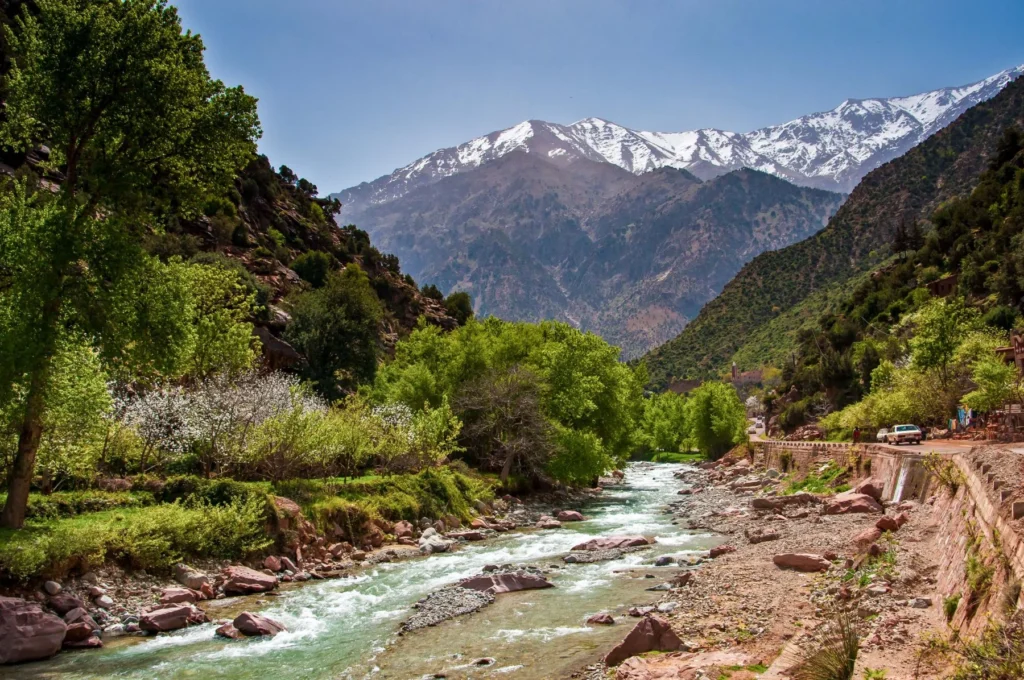 A narrow mountain stream running through rocky terrain lined with lush trees.