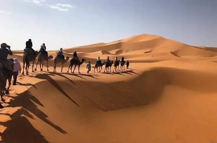Line of travelers riding camels across high golden sand dunes under a clear sky