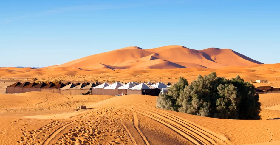 Desert campsite set up along large sand dunes beneath a bright blue sky.