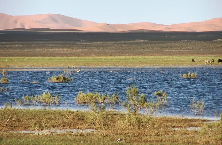 Serene lake in a desert landscape with reddish sand dunes under a clear sky.