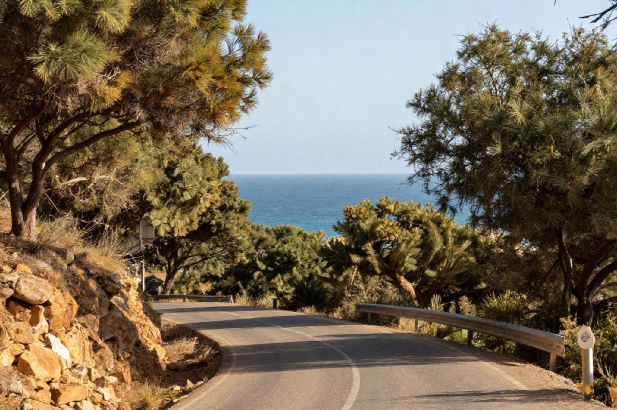 Scenic drive through argan forest to Essaouira