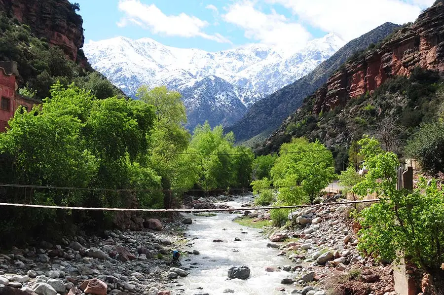 green fields and snow capped Atlas peaks in the Ourika Valley in April